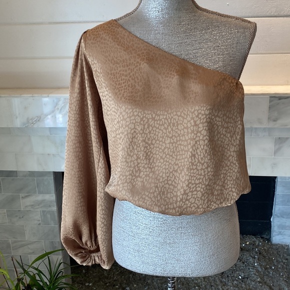 Show Me Your Mumu One Shoulder Balloon Sleeve Copper Cheetah Crop Top Si… - Picture 3 of 11